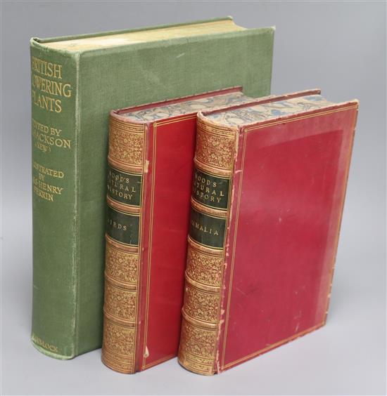 Jackson, A.K. (editor) - British Flowering Plants, quarto, cloth, London and Melbourne 1939 and Wood, Rev. J.G. -